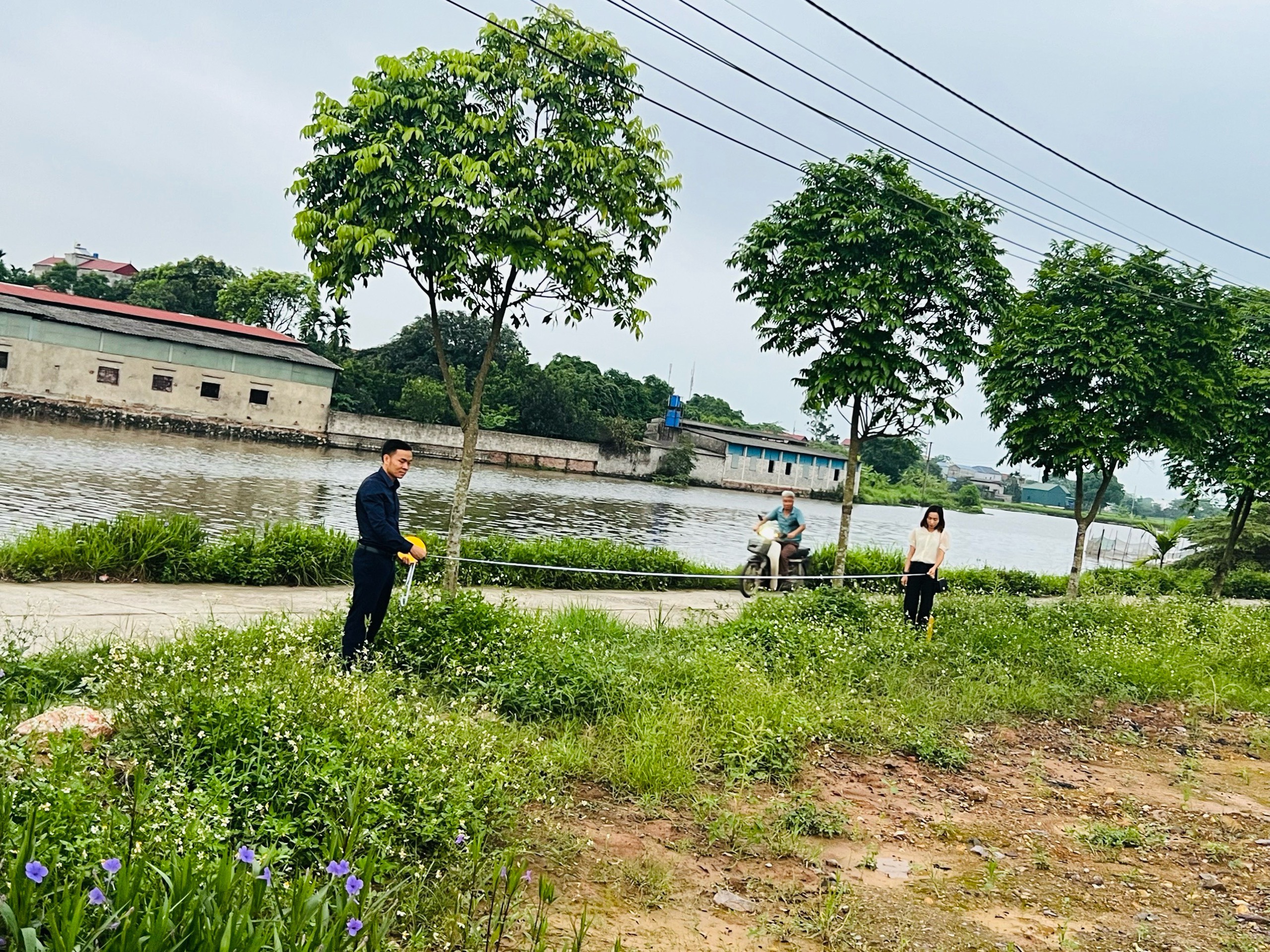 Bí quyết định giá đất thổ cư Chương Mỹ: Hướng dẫn chi tiết cách thẩm định, so sánh và xác định giá trị thực