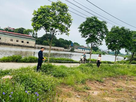 Bí quyết định giá đất thổ cư Chương Mỹ: Hướng dẫn chi tiết cách thẩm định, so sánh và xác định giá trị thực