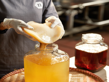 KOMBUCHA - THỨC UỐNG TỪ NGHÌN NĂM QUÁ TỐT CHO SỨC KHỎE 